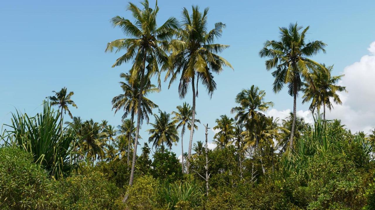 Barefoot Zanzibar Michamvi Kae Exterior photo